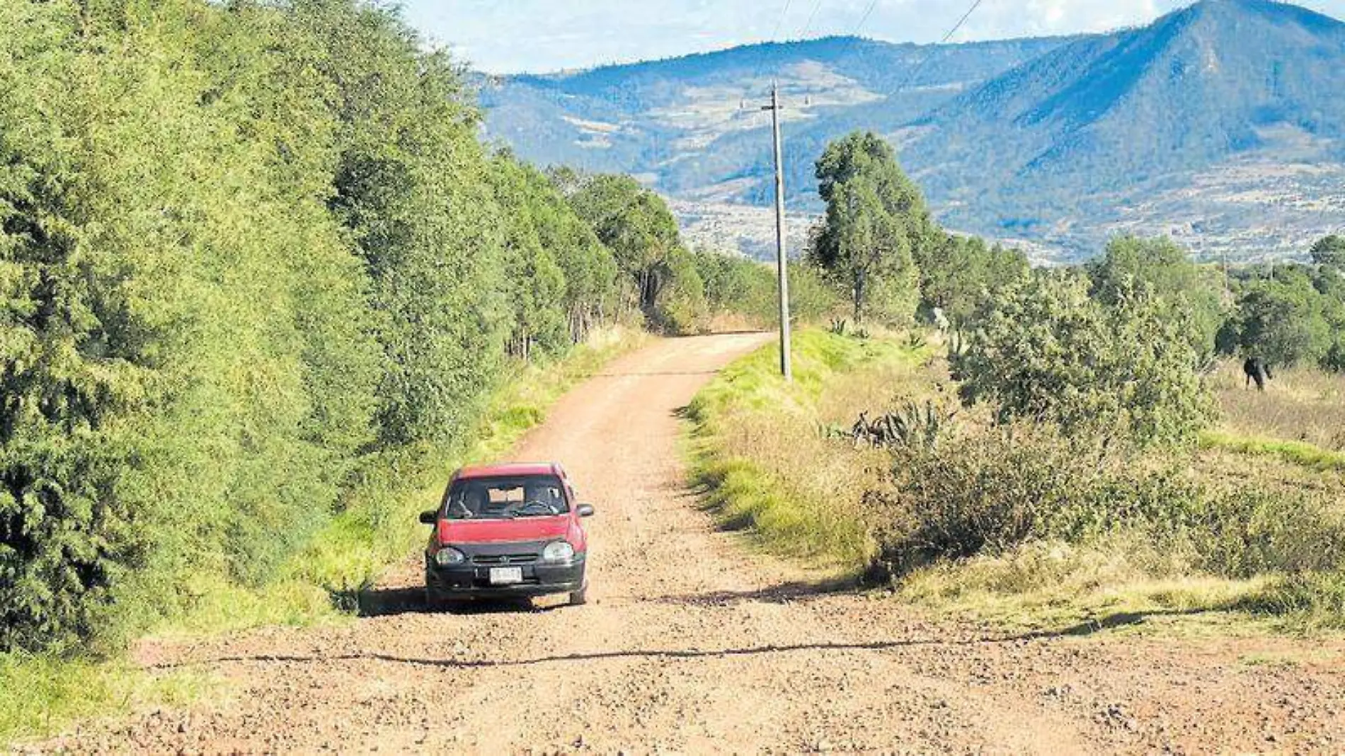 Docente Tlaxco (2)